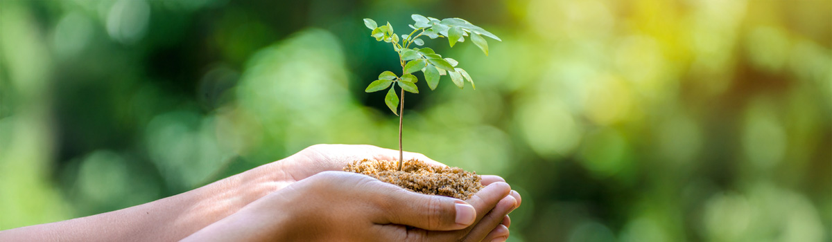 [Translate to Deutsch:] 